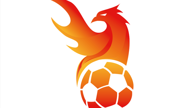 Liga Fenix e futbol