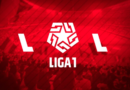 Estadística Liga Peruana